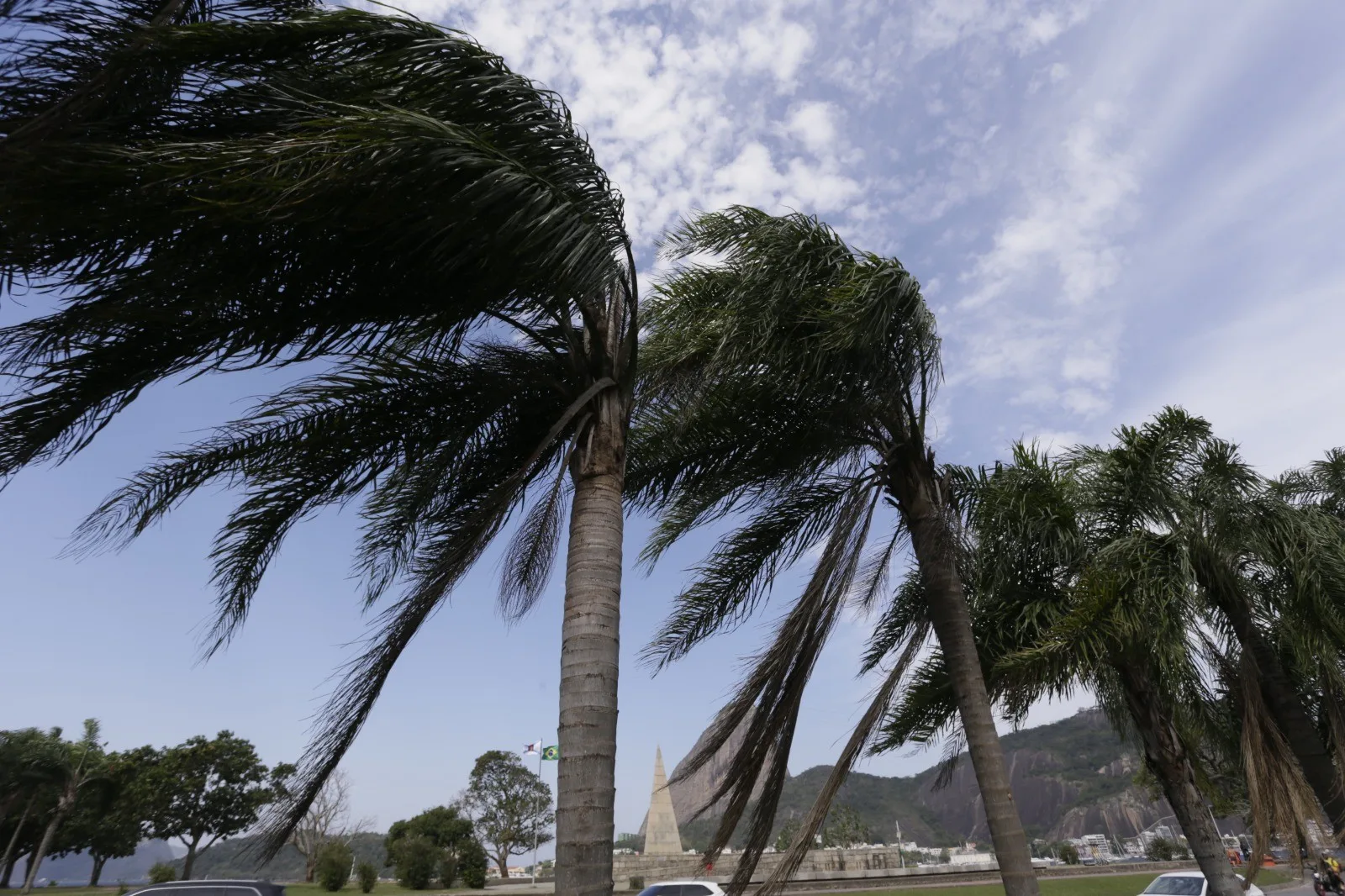 Frente fria deixa Rio com rajadas, chuva e queda de árvore neste domingo